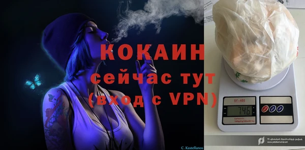 дмт Михайлов