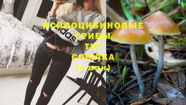 дмт Михайлов