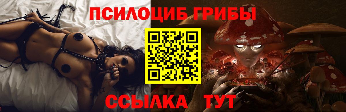 Галлюциногенные грибы Cubensis  Вход с VPN  Благодарный 